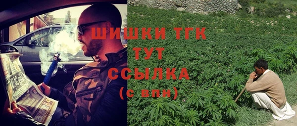 ешки Алзамай