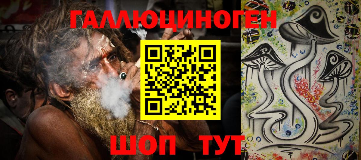 Галлюциногенные грибы Psilocybine cubensis Арсеньев