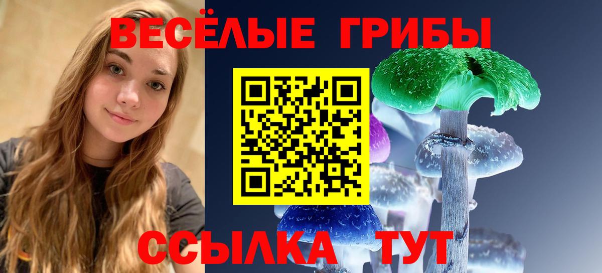 Псилоцибиновые грибы MAGIC MUSHROOMS  Вход с VPN  Арсеньев 